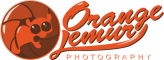 Orange Lemur Photography
